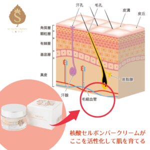 熱のチカラで真皮の血流をアップさせる肌育クリーム VAVITTEボンバー